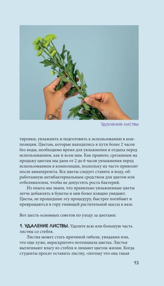Flowers for a Bouquet. A Guide to Cut Flowers for the Beginning Florist. What and When to Buy and How to Extend the Life of Flowers
